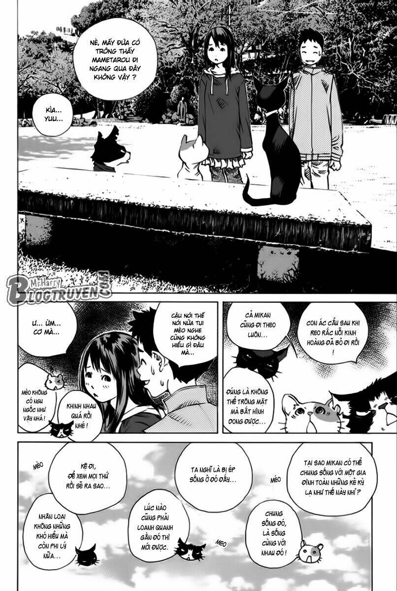 page_19.jpg