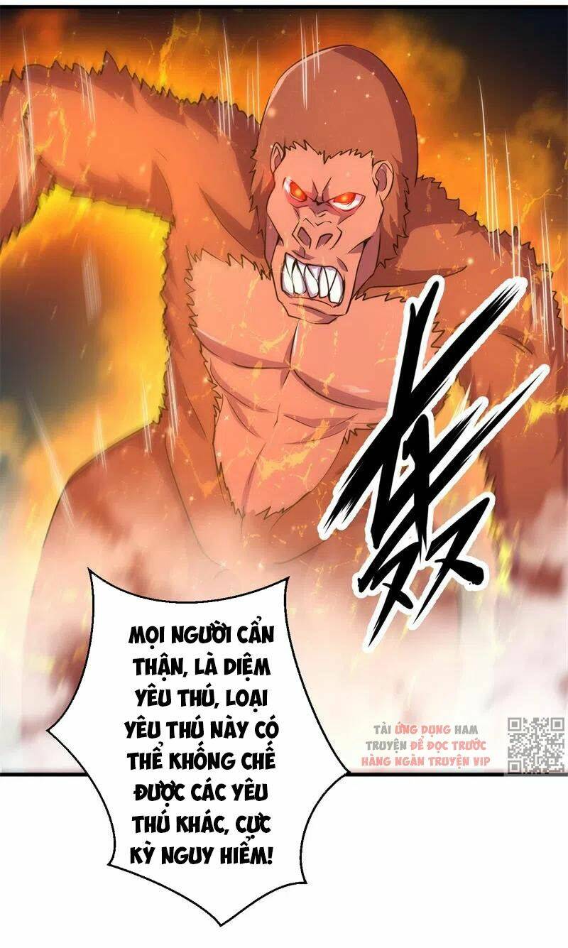 page_28.jpg