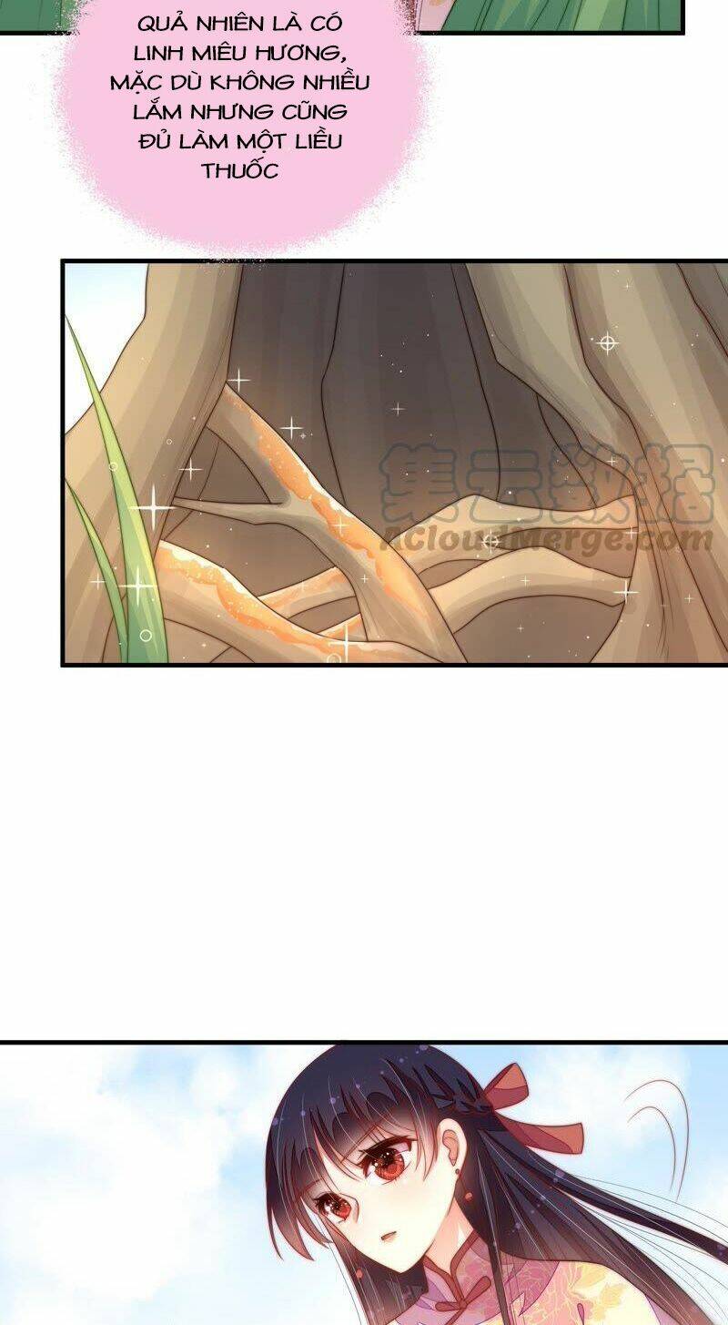 page_8.jpg