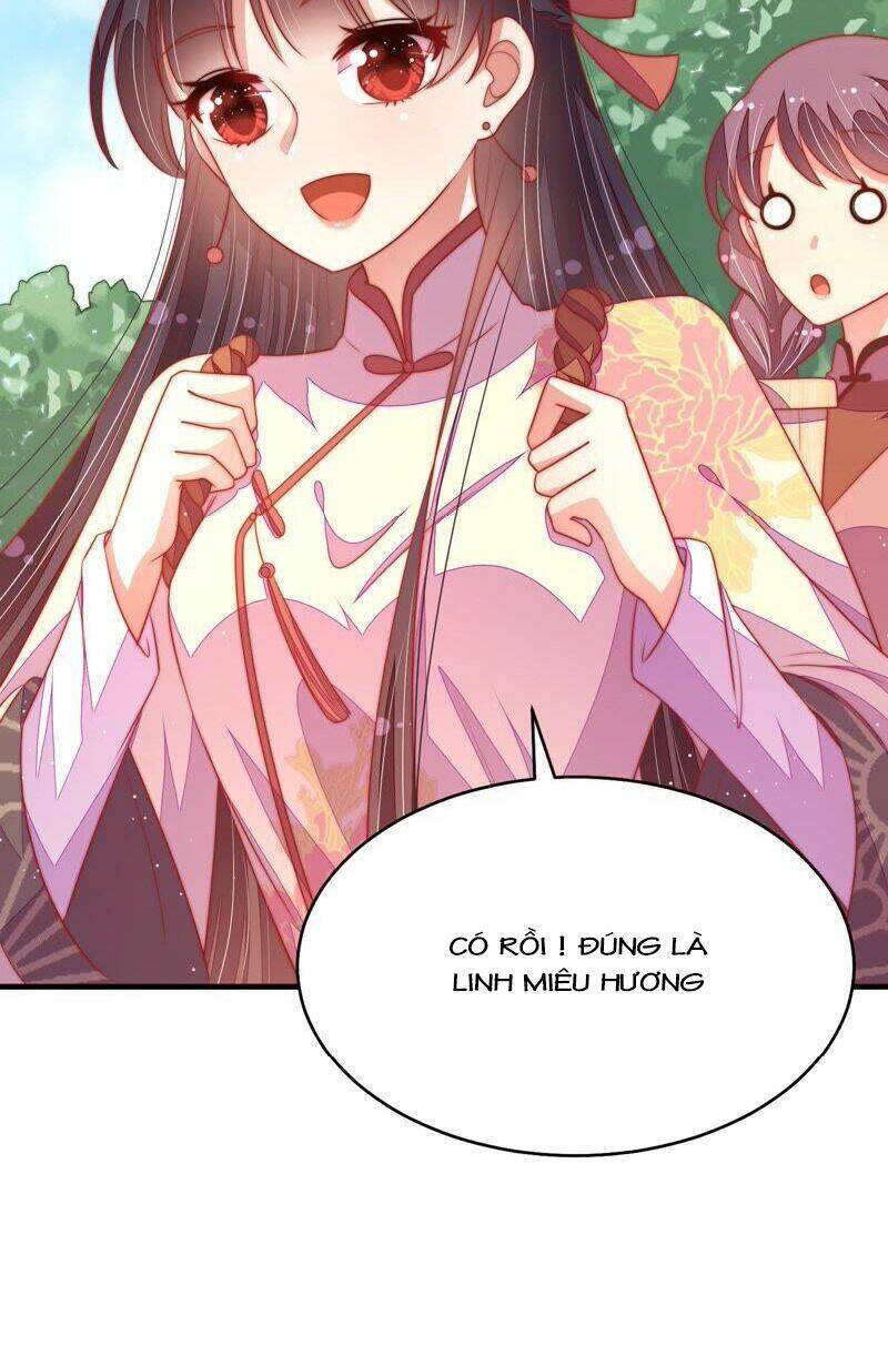 page_16.jpg