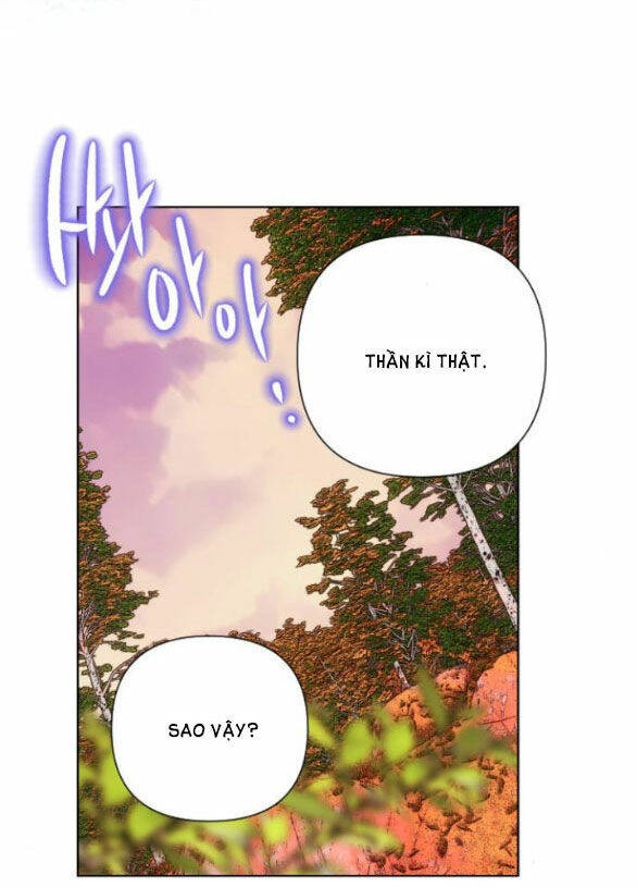 page_19.jpg