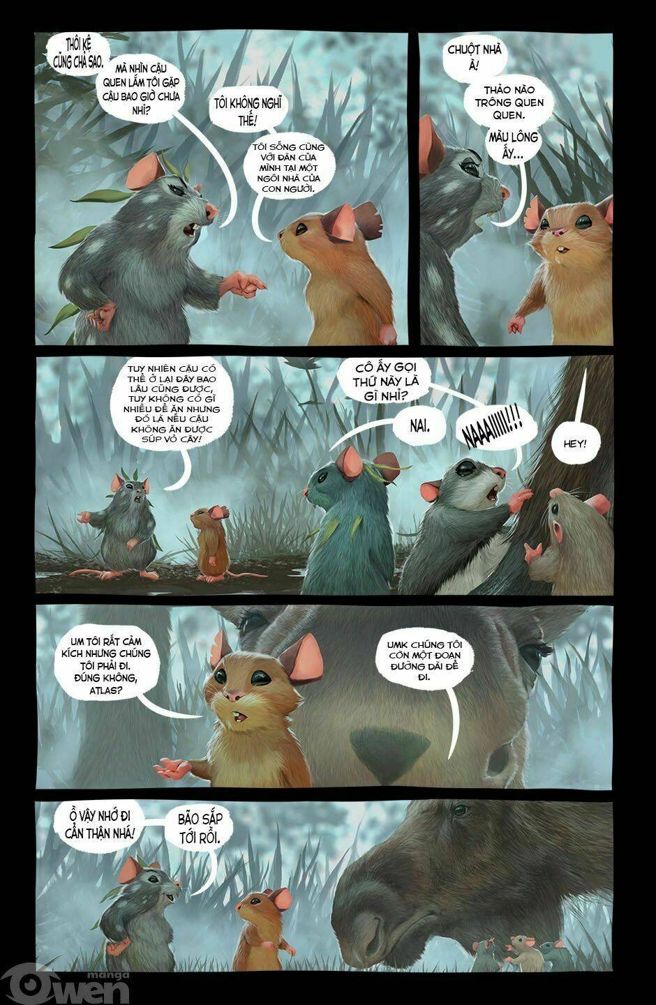 page_14.jpg
