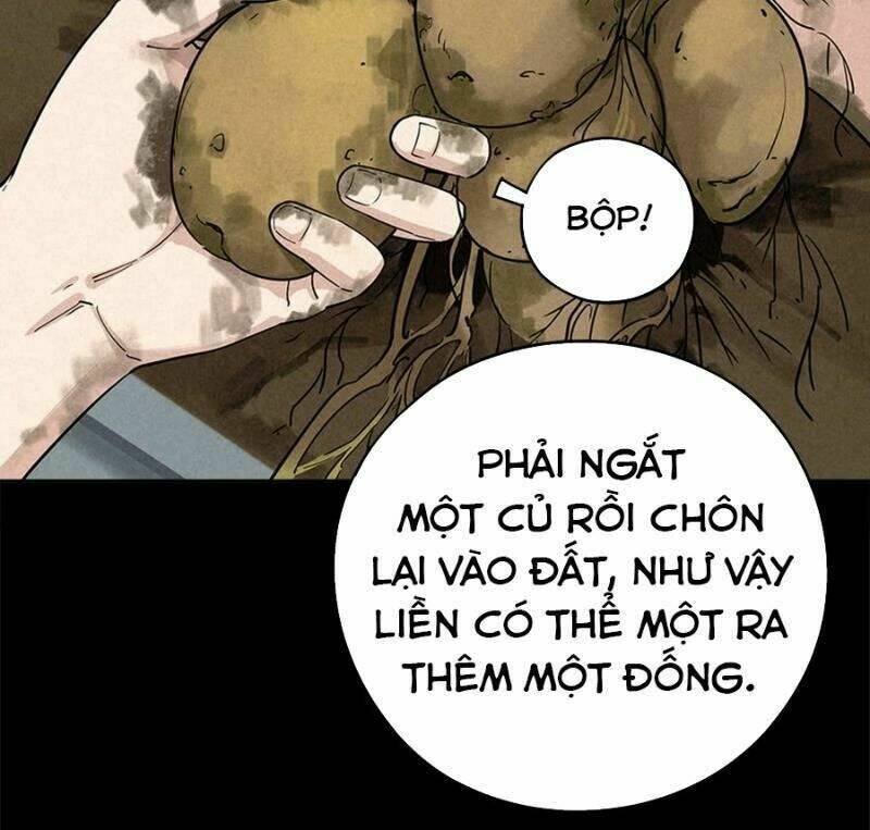 page_14.jpg
