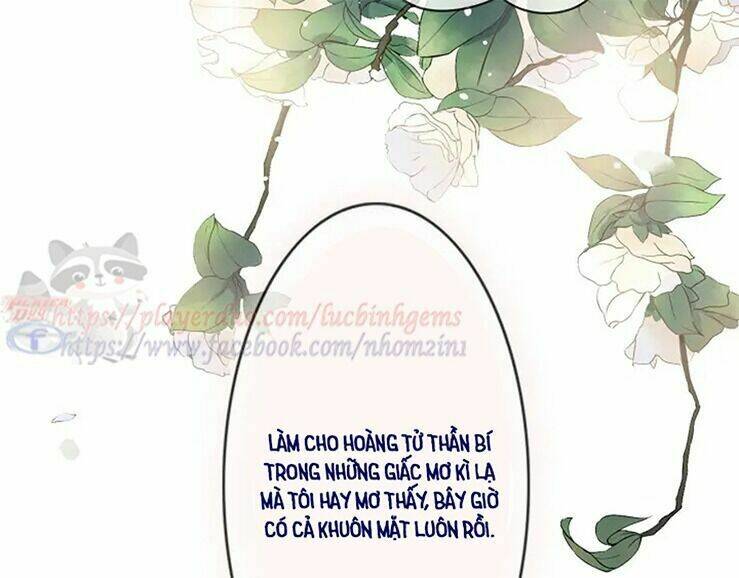page_19.jpg
