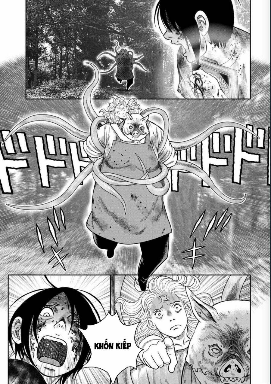 page_17.jpg