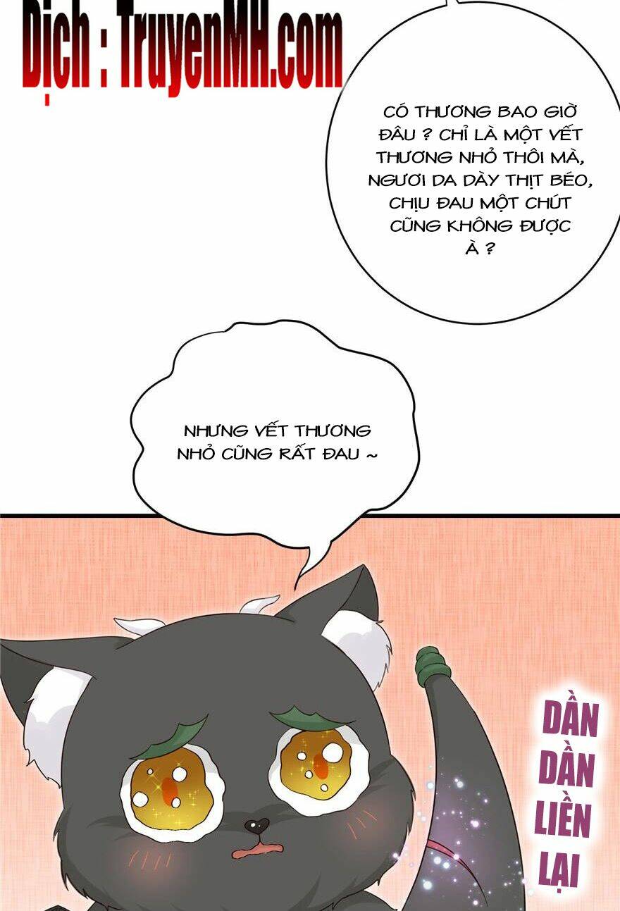page_12.jpg