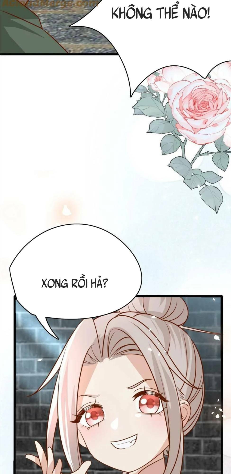 page_21.jpg