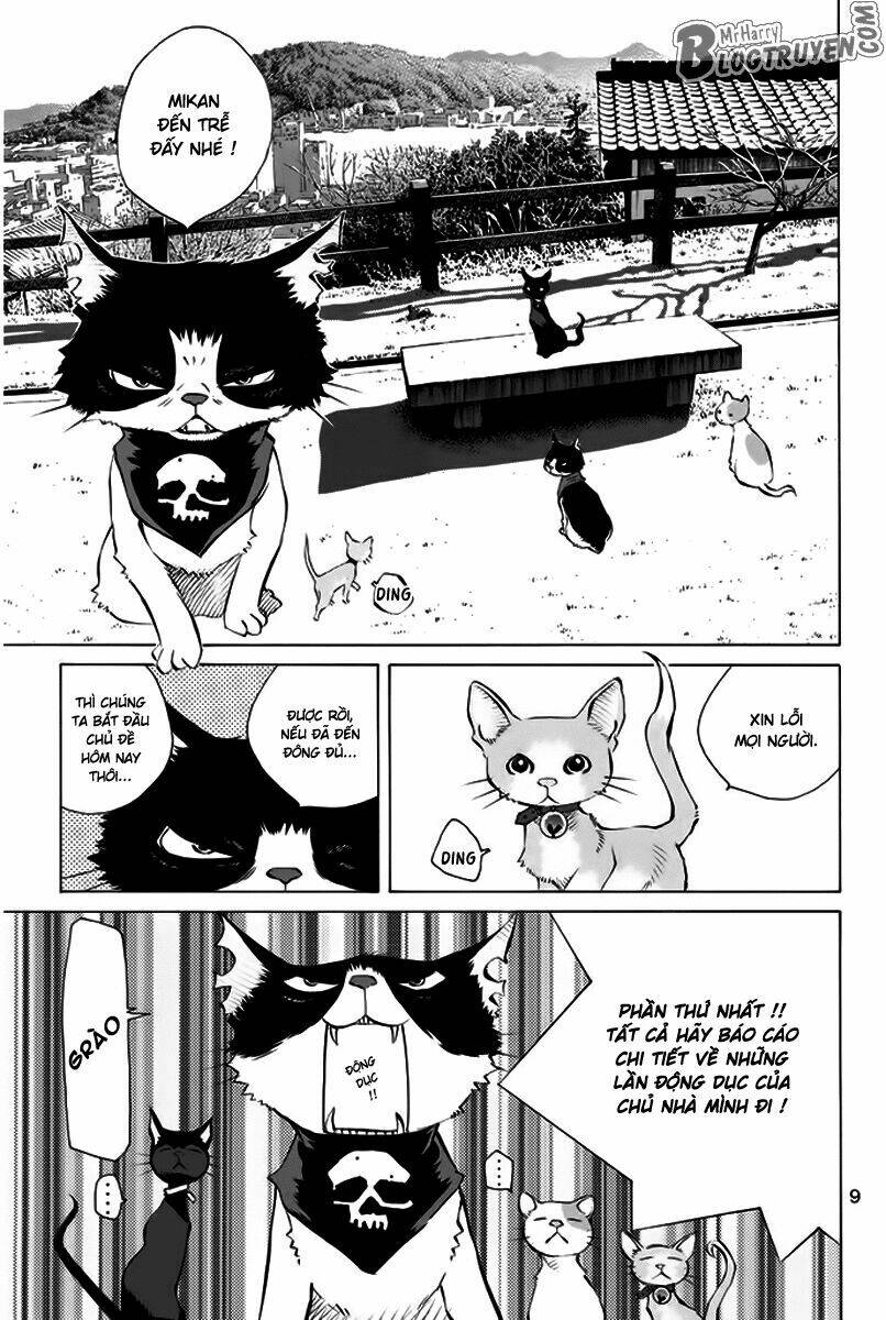 page_11.jpg