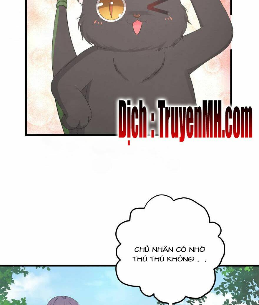 page_14.jpg