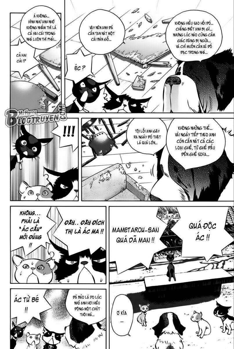 page_17.jpg