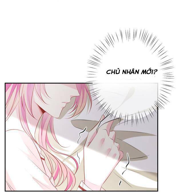 page_23.jpg