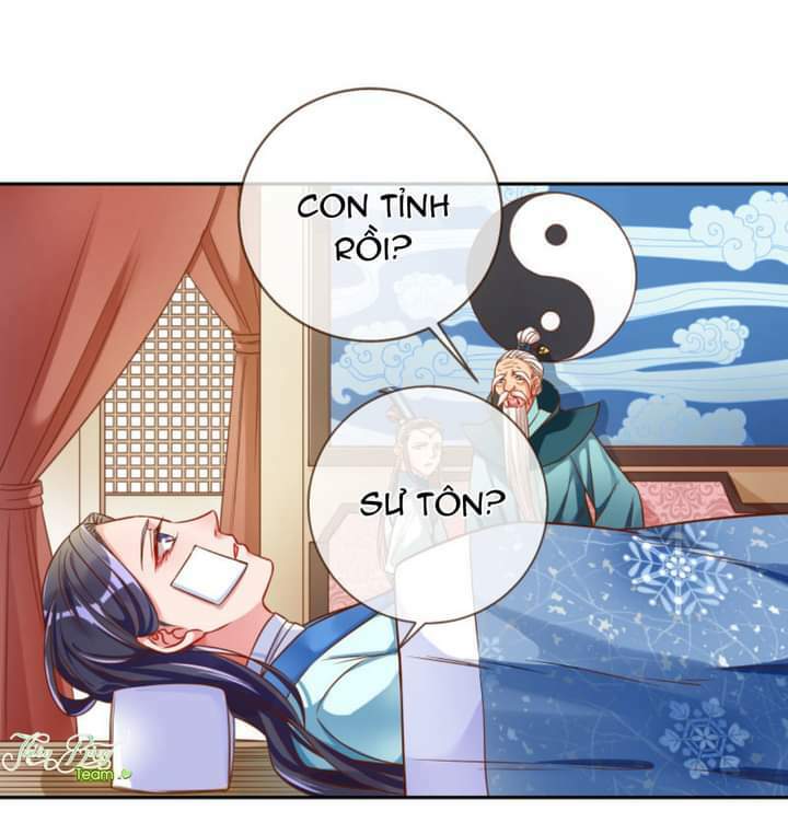 page_11.jpg