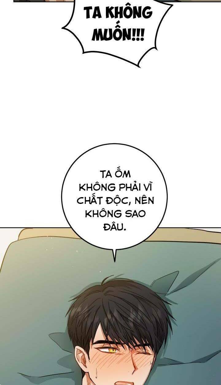 page_63.jpg