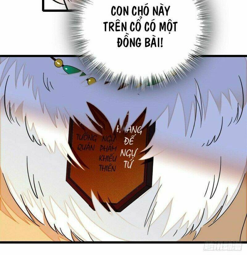 page_26.jpg