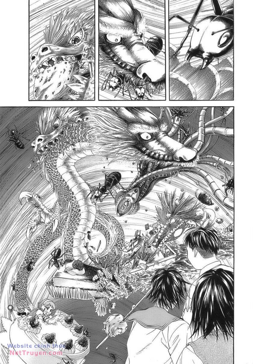 page_16.jpg