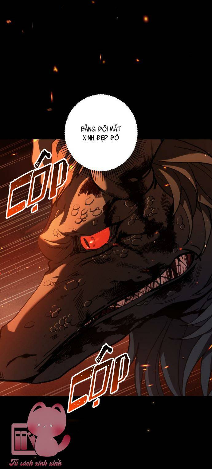 page_51.jpg