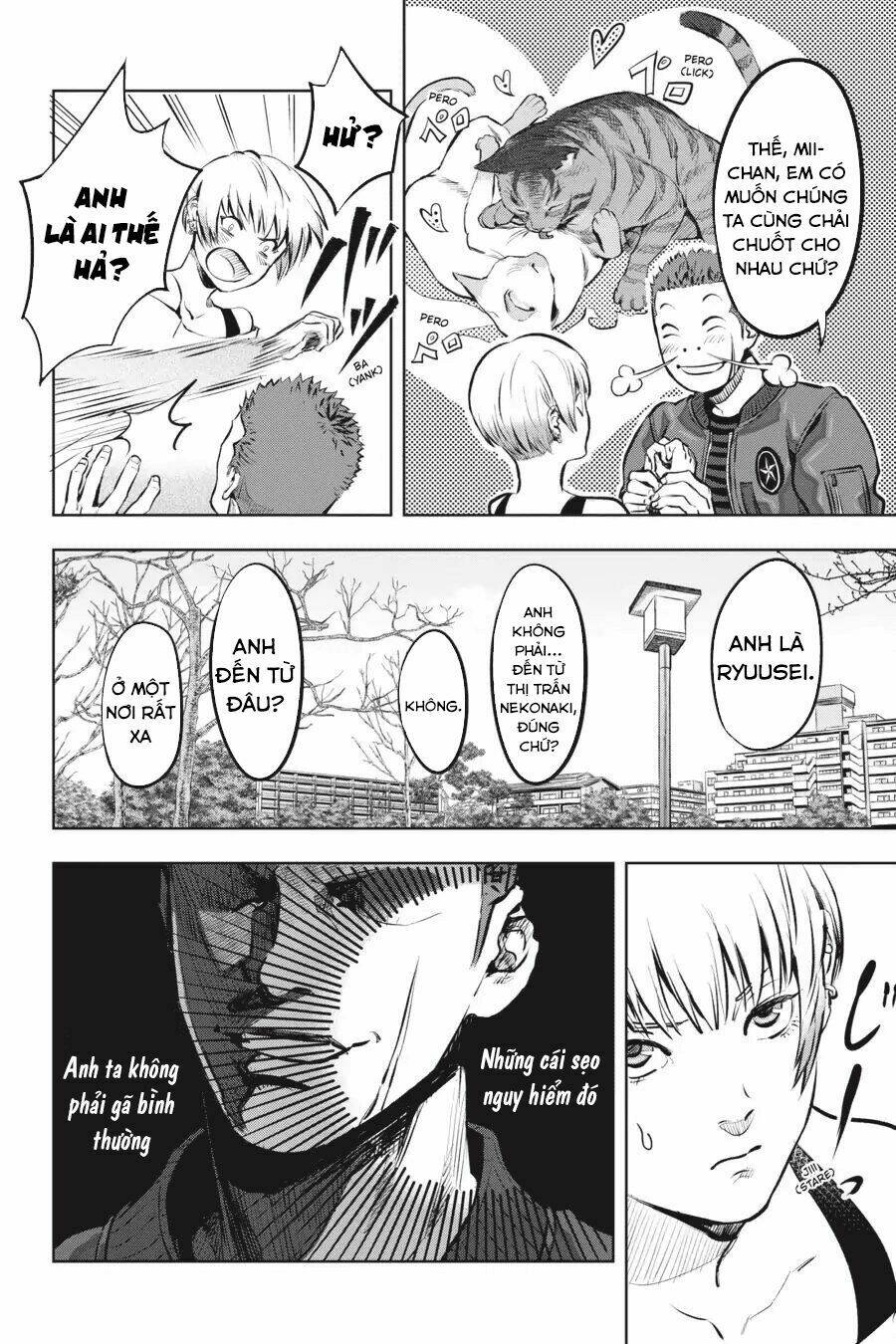 page_17.jpg