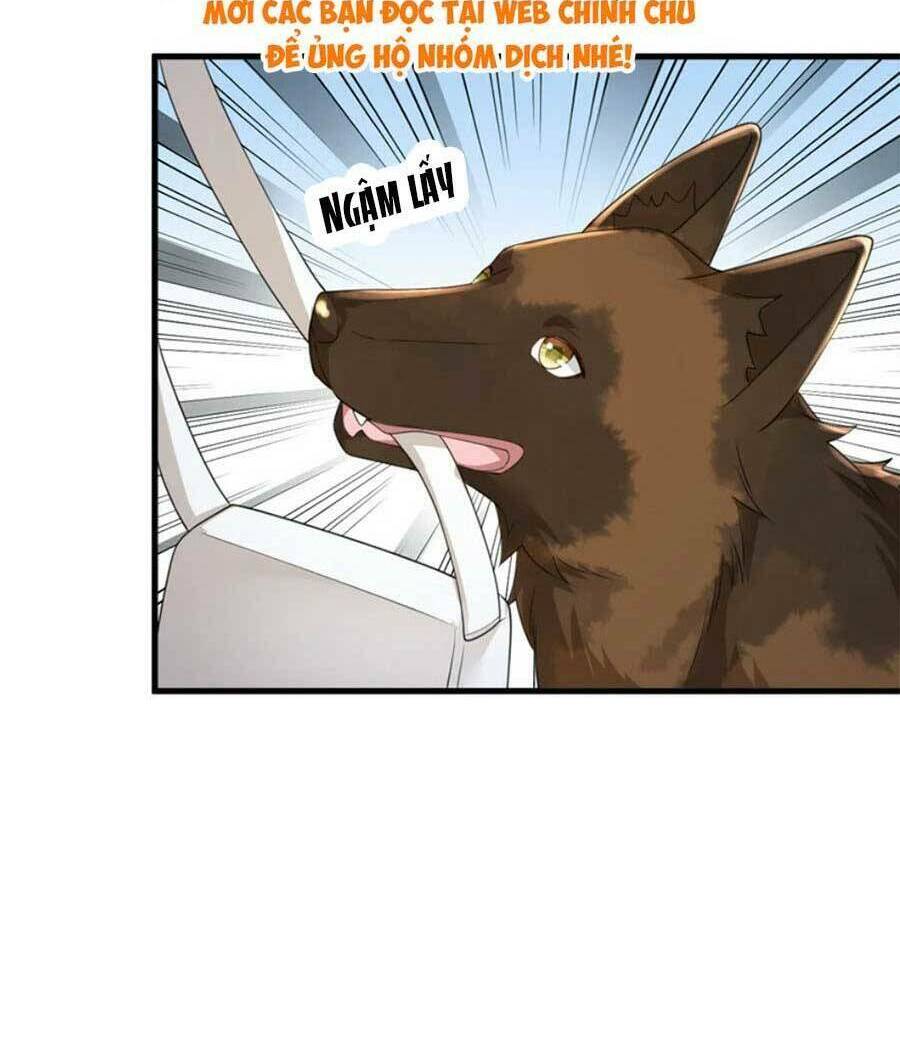 page_28.jpg