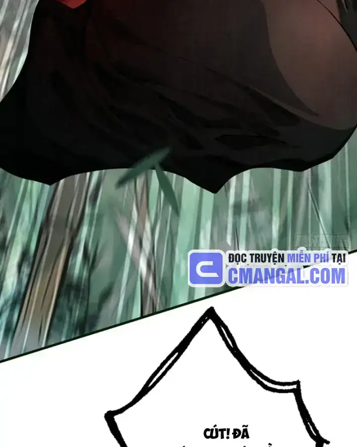 page_24.webp