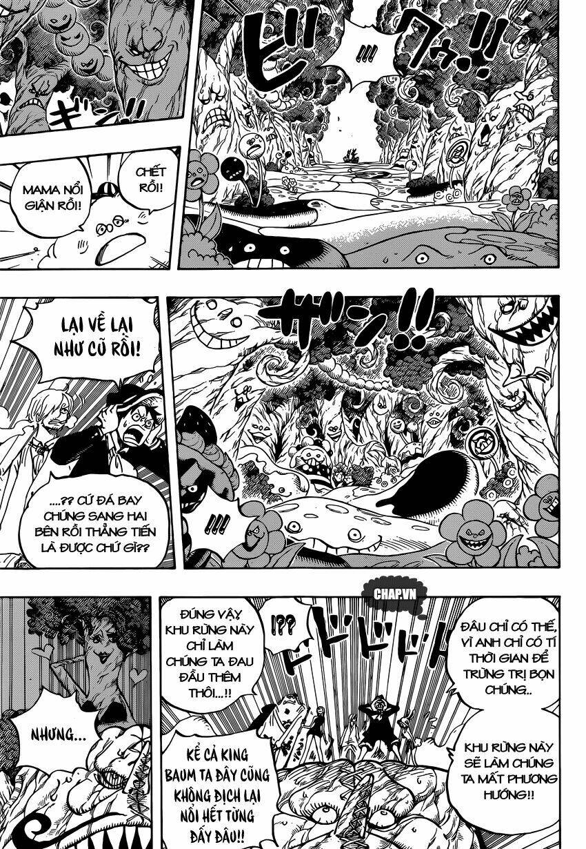 page_11.jpg