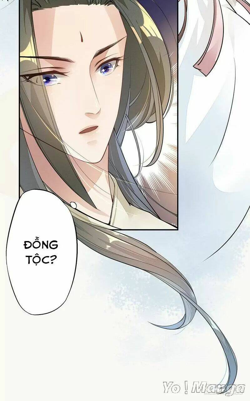 page_29.jpg