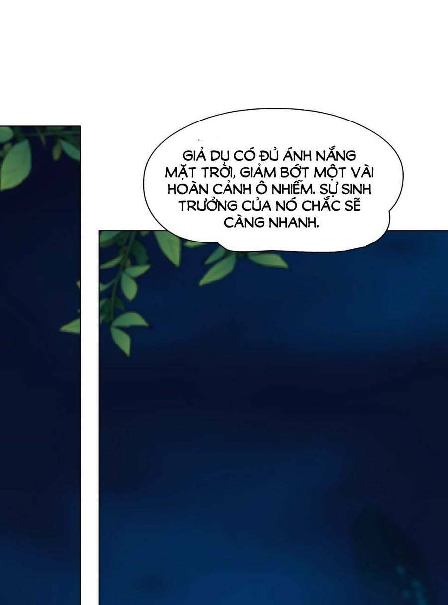 page_30.jpg