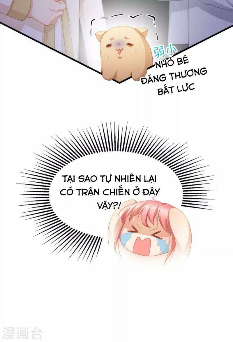 page_16.jpg
