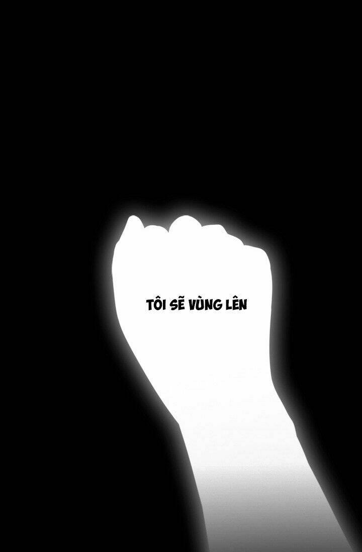 page_24.jpg
