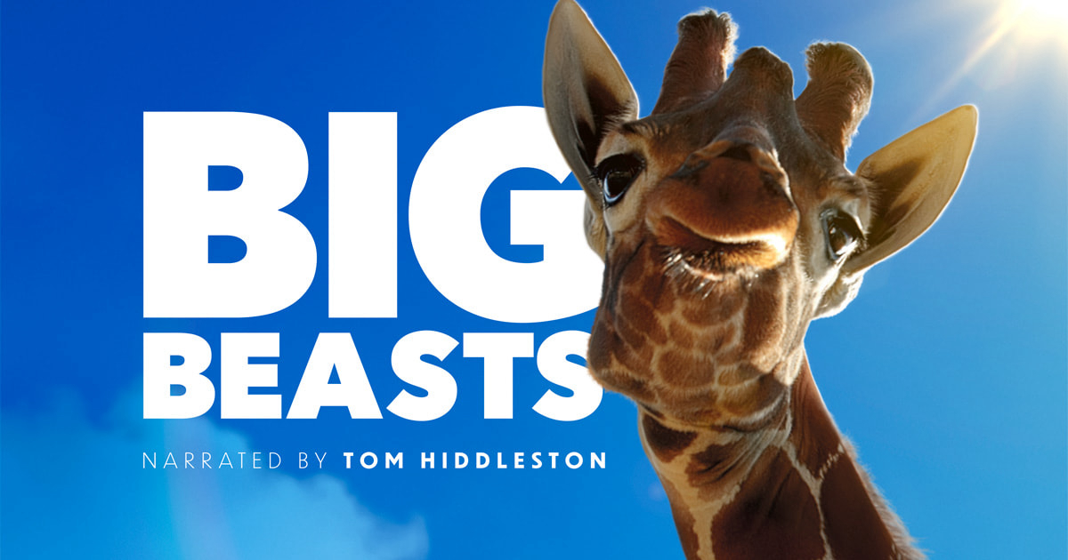 big-beasts-poster.jpg