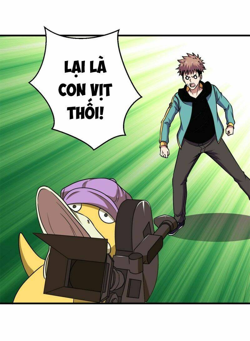 page_27.jpg