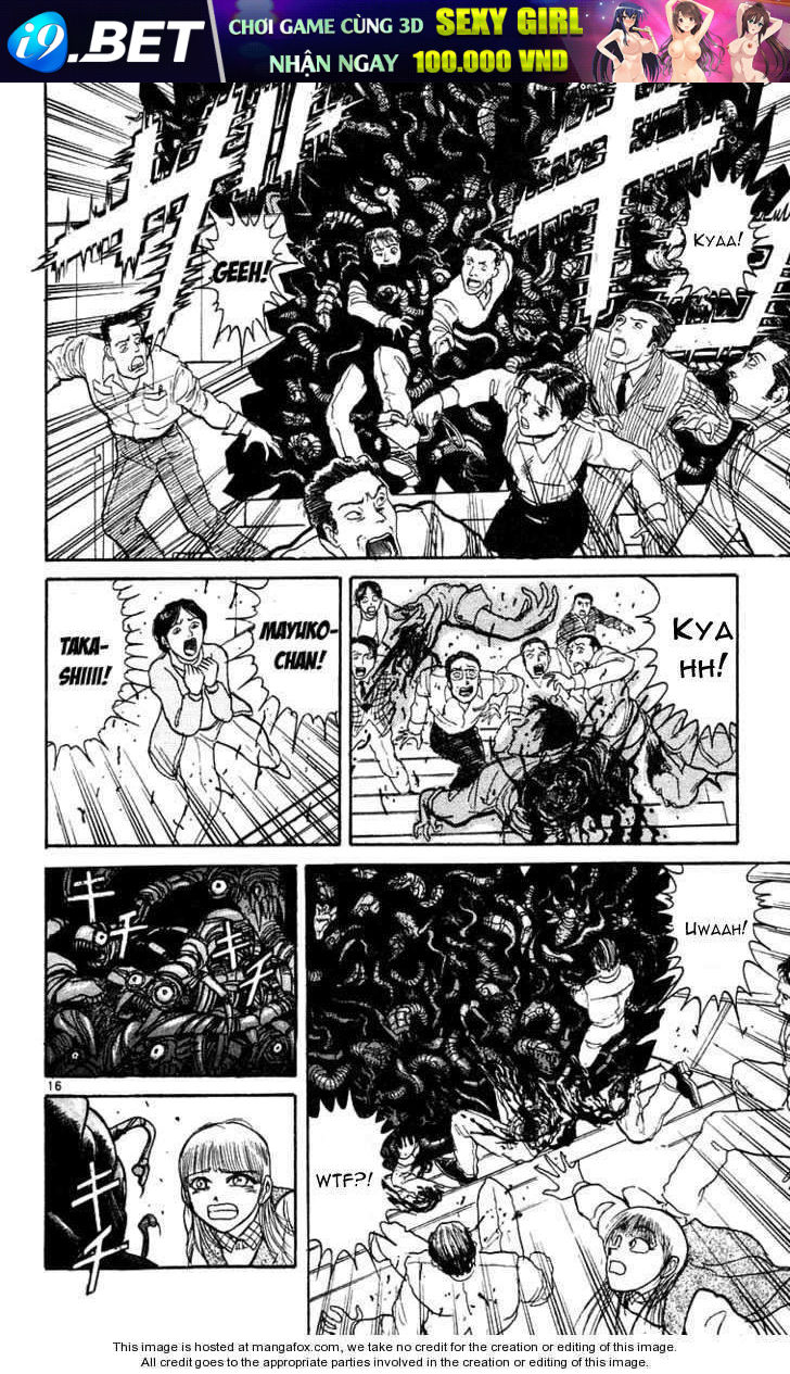 page_17.jpg