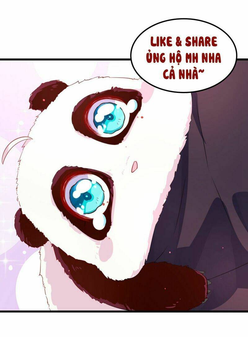 page_19.jpg
