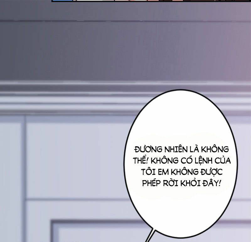page_41.jpg
