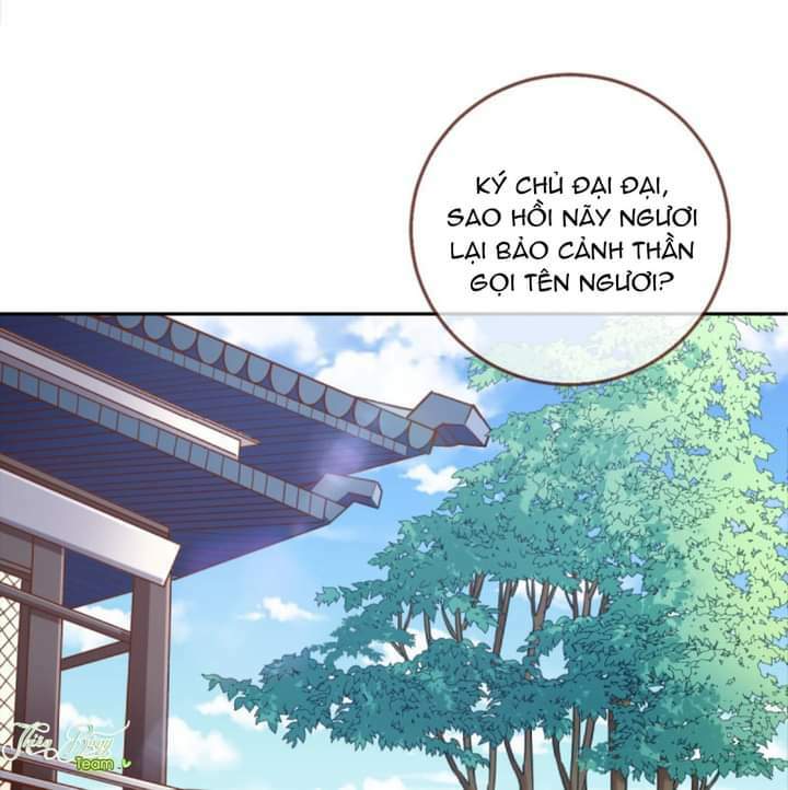 page_41.jpg