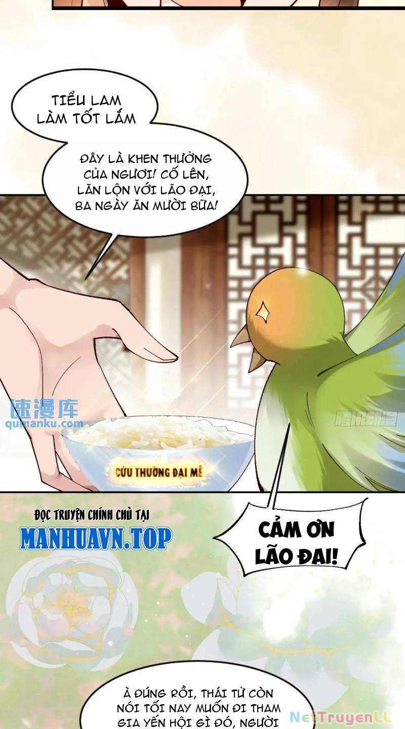page_24.jpg