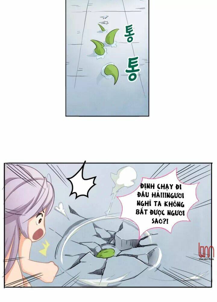 page_19.jpg