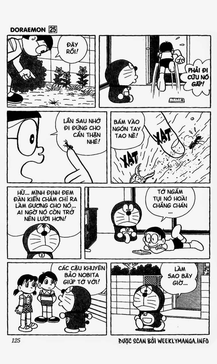 page_11.jpg