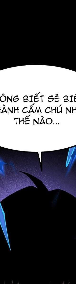 page_144.jpg
