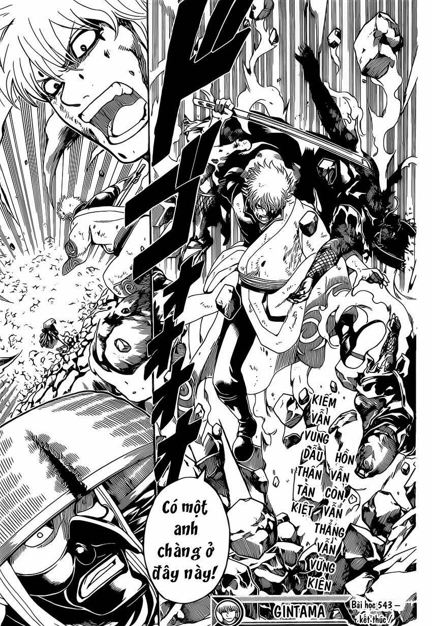 page_19.jpg