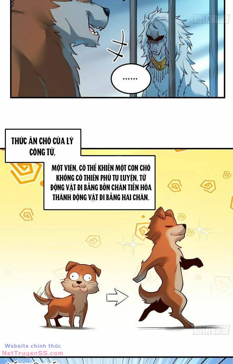 page_30.jpg