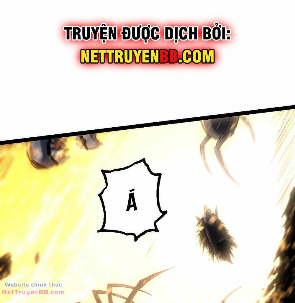 page_67.jpg