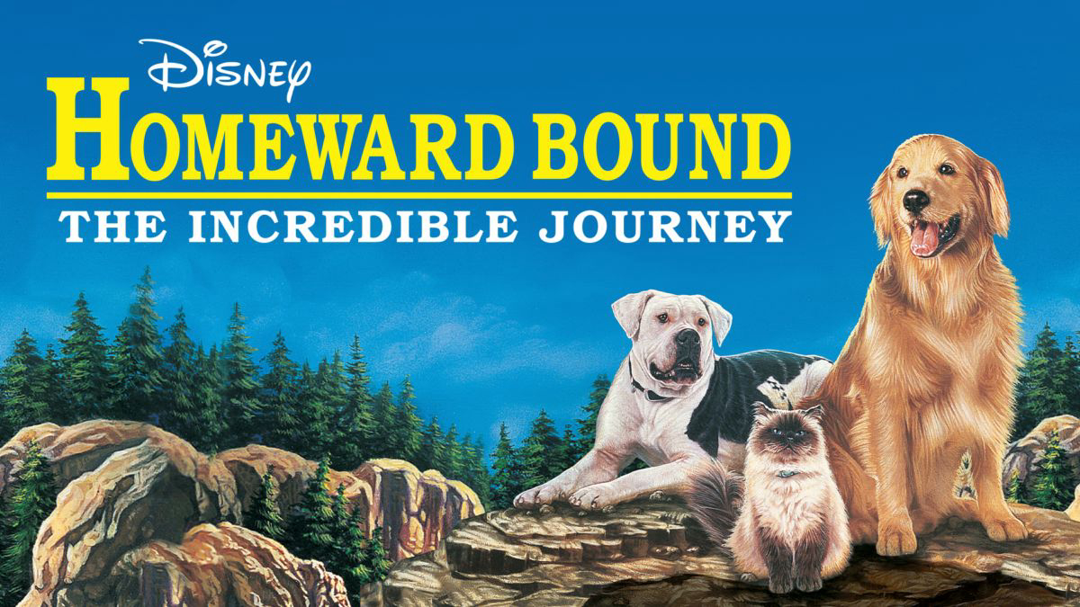 homeward-bound-the-incredible-journey-poster.jpg