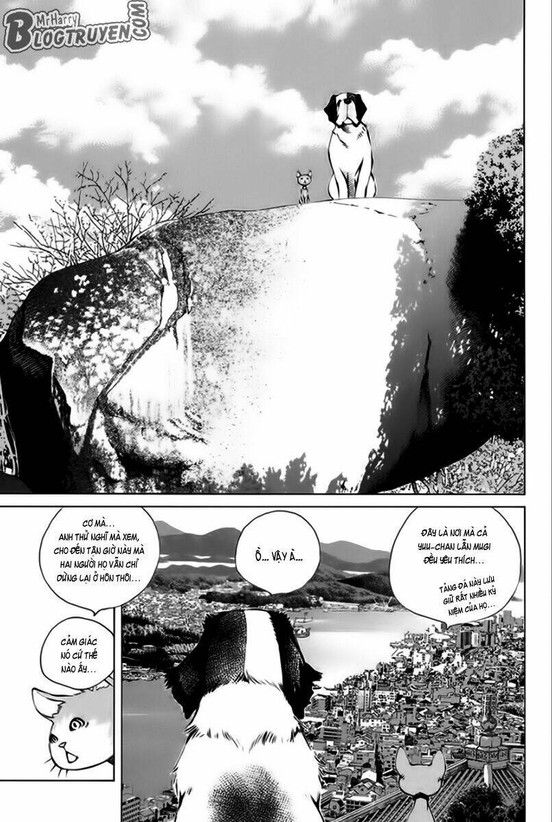 page_26.jpg