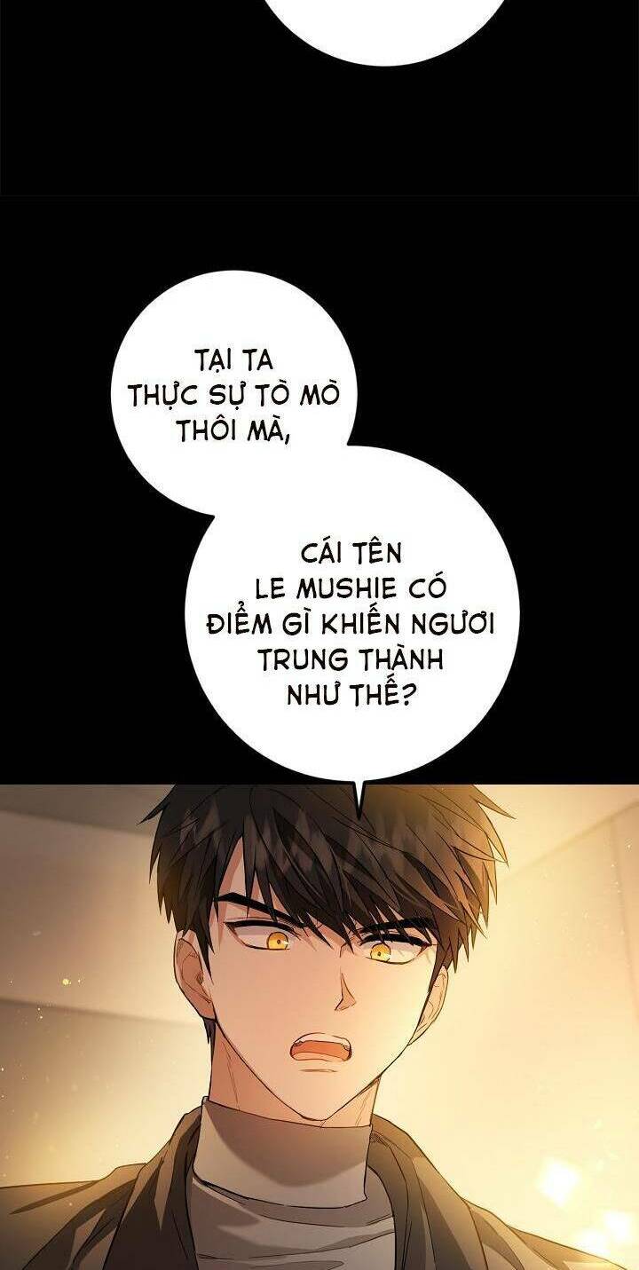 page_28.jpg