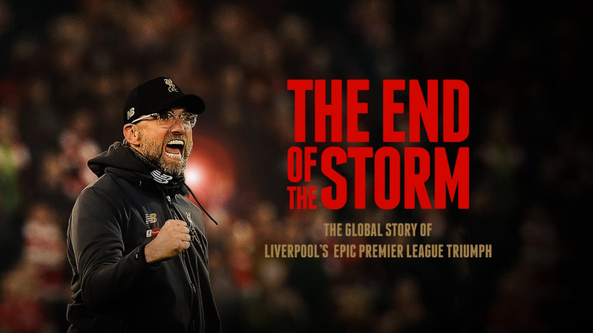 the-end-of-the-storm-poster.jpg