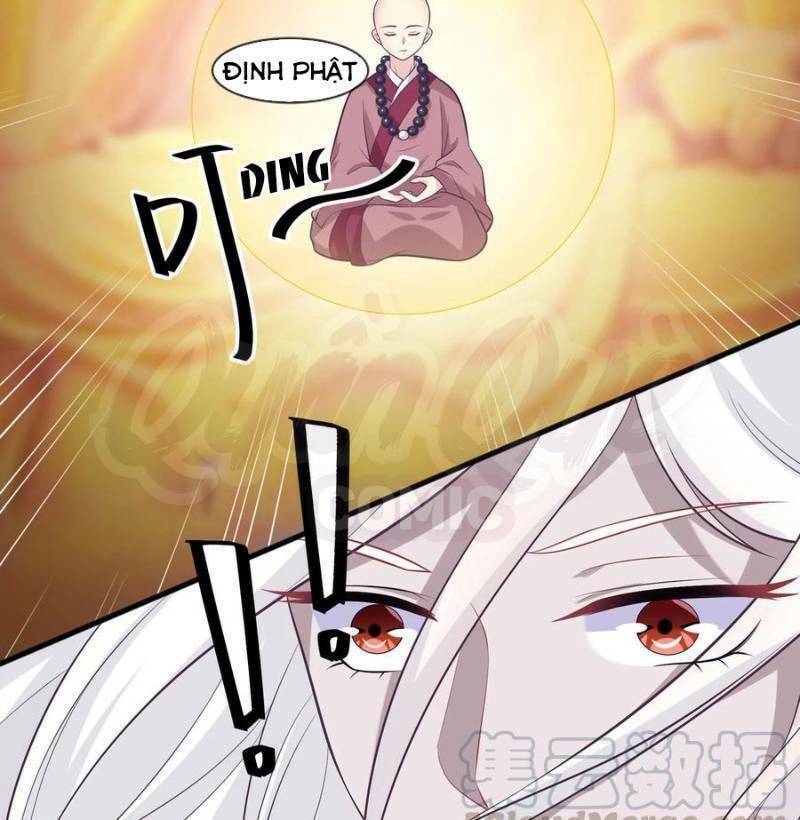page_17.jpg