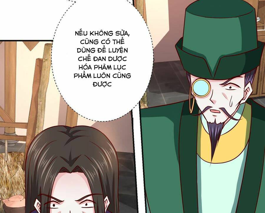 page_31.jpg