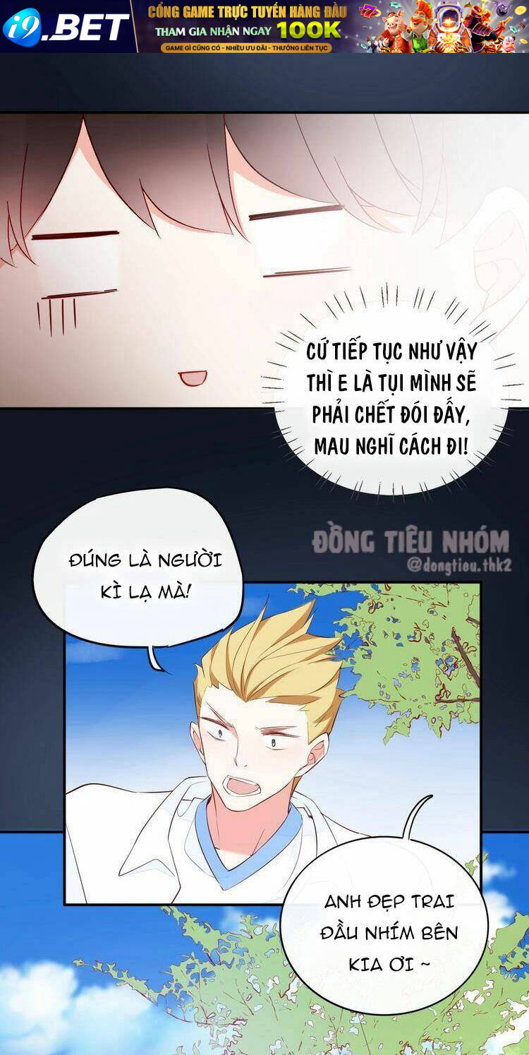 page_28.jpg
