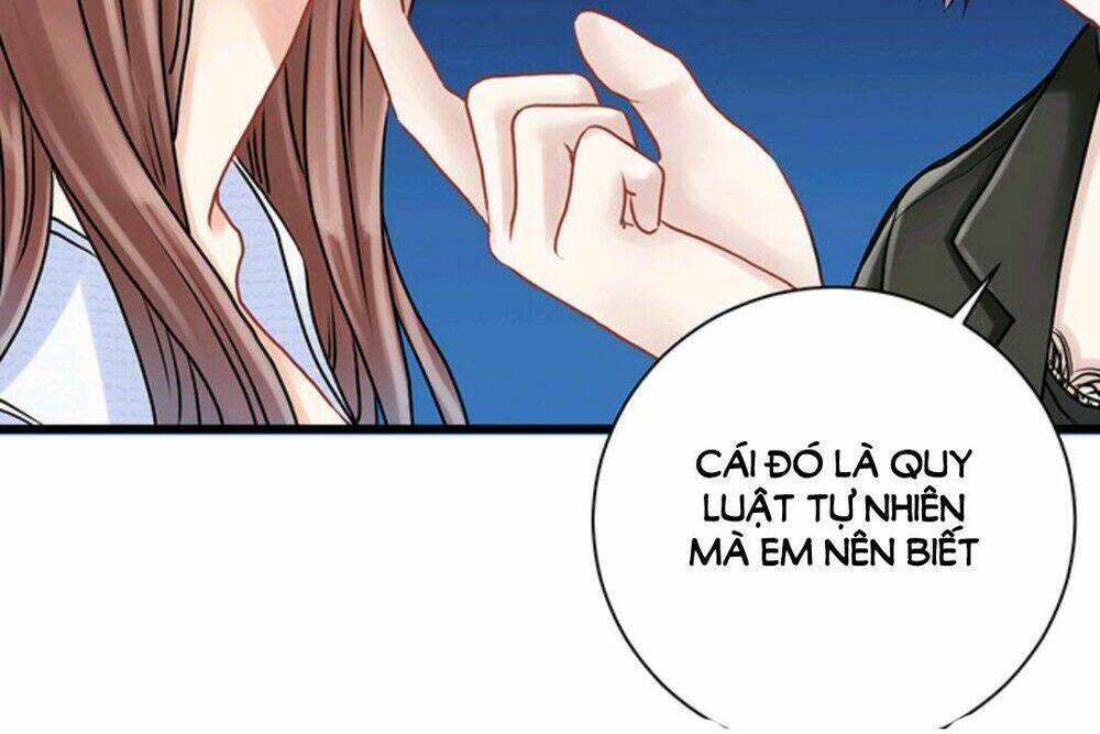 page_32.jpg