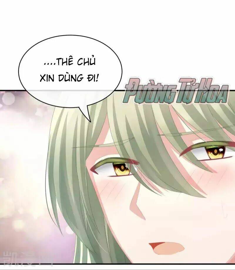 page_24.jpg